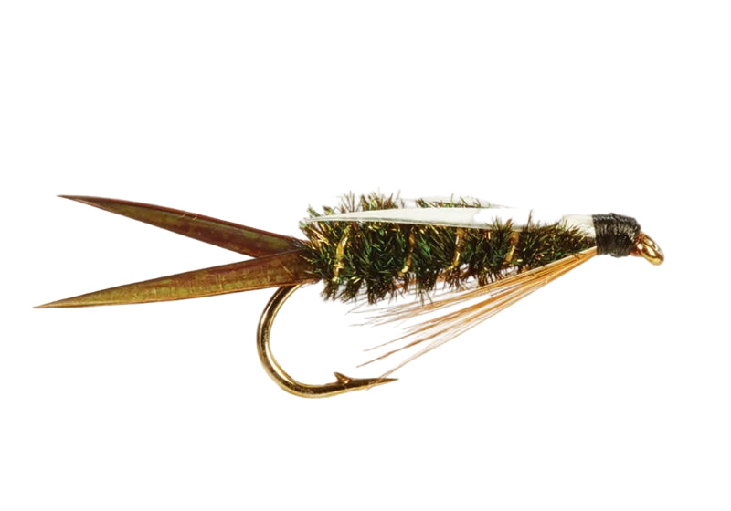 WEIGHTED NYMPH FLY PRINCE