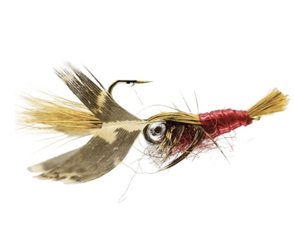 TERRESTRIAL FLY OWERS CRAYFISH #10