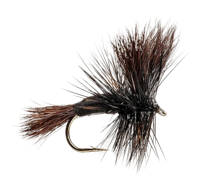 WULFF DRY FLY BLACK
