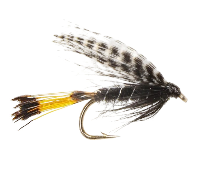 WET WINGED FLY TEAL & BLACK